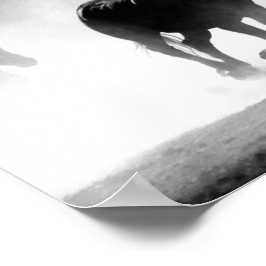 Poster voor zwarte en witte paarden (Hoek)