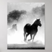 Poster voor zwarte en witte paarden (Voorkant)