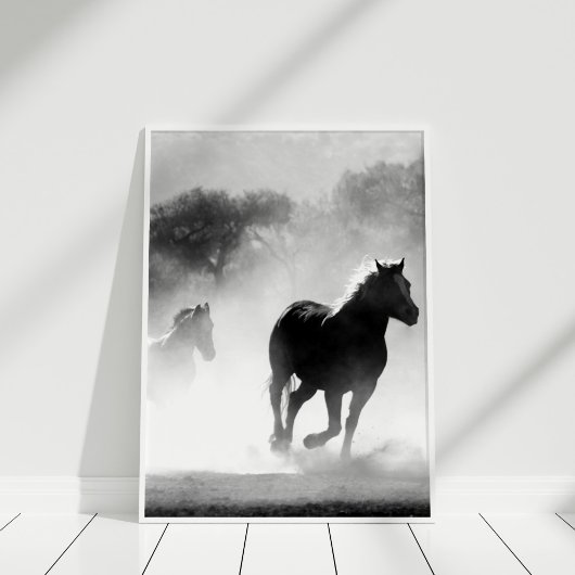 Poster voor zwarte en witte paarden