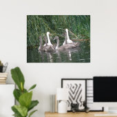 Poster voor zwemmers en cygnets (Thuiskantoor)