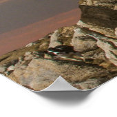 poster vragen (Hoek)