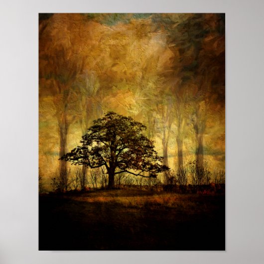 Poster-vreedzame boom poster (Voorkant)