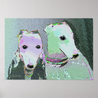 poster "Vrienden van een andere kleur"