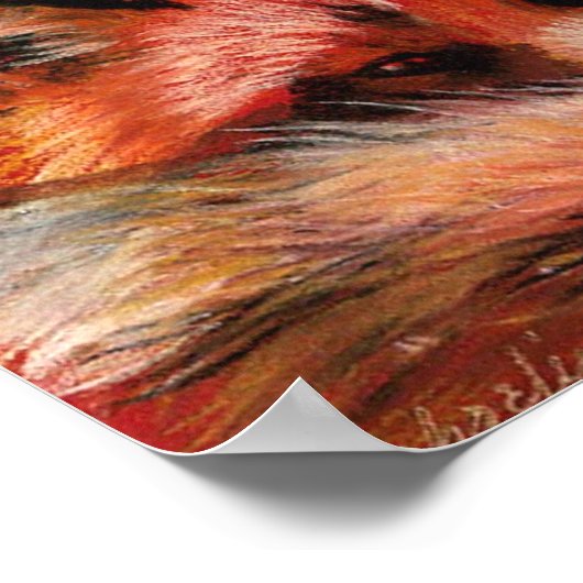 Poster Vuilvos (Hoek)