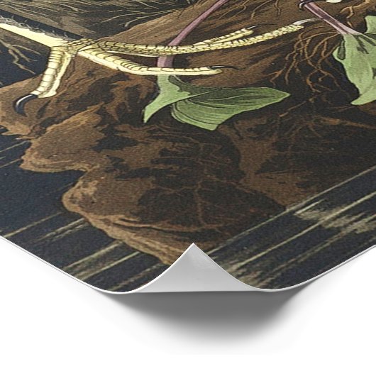  Poster Wall Art - White Egret (Hoek)