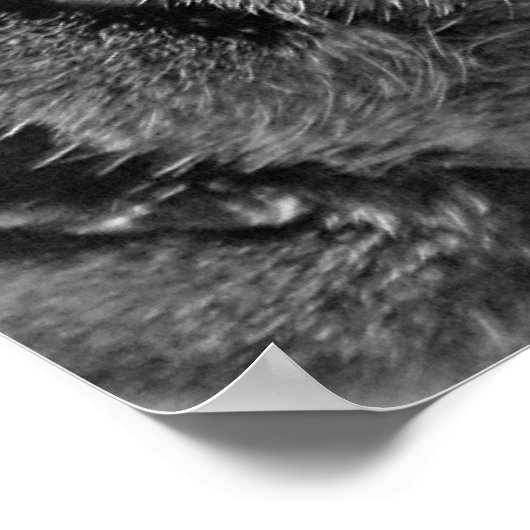 Poster wasdag afdrukken (Hoek)