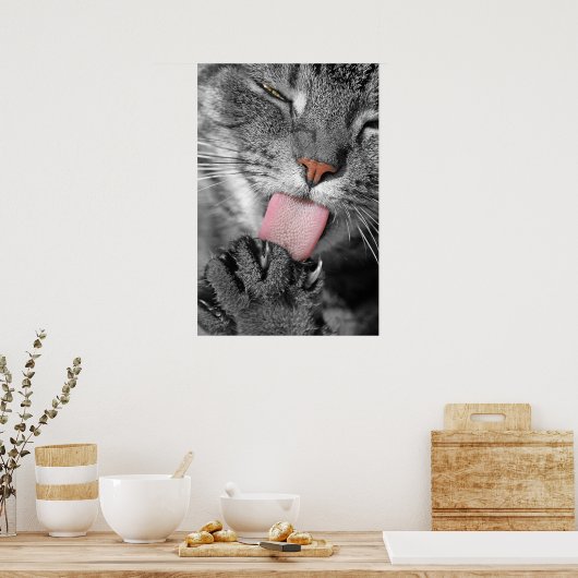 Poster wasdag afdrukken (Keuken)