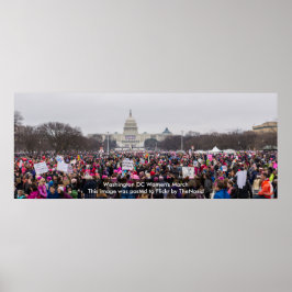 Poster Washington DC Women's March 2017