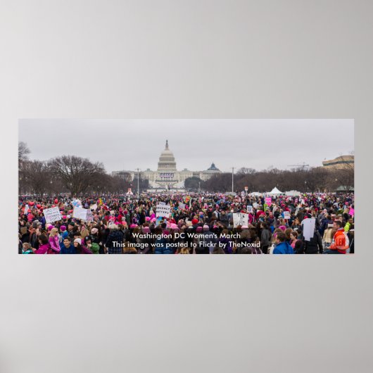 Poster Washington DC Women's March 2017 (Voorkant)
