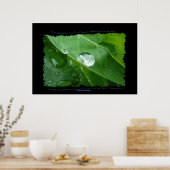 POSTER WATERCONSERVATIE LF-Daling Eco (Keuken)