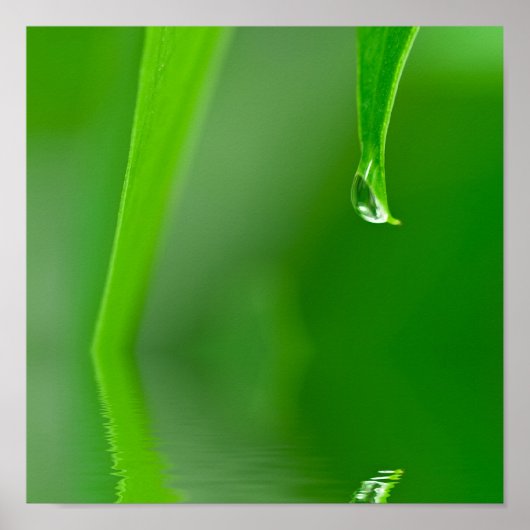 Poster waterdruppel (Voorkant)