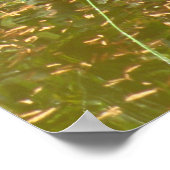 Poster, Waterfall and the Mermaid Poster (Hoek)