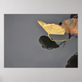 Poster waterlelies (Voorkant)