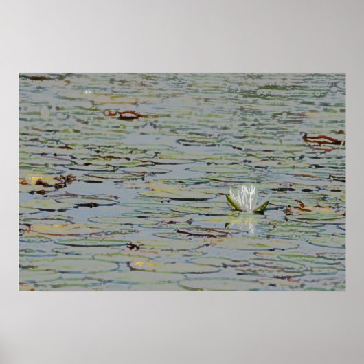 Poster Waterlily Pond Lake Flower I (Voorkant)