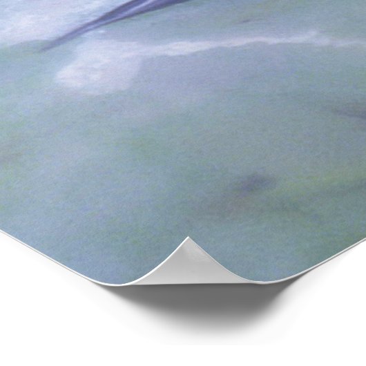 Poster waterlio (Hoek)