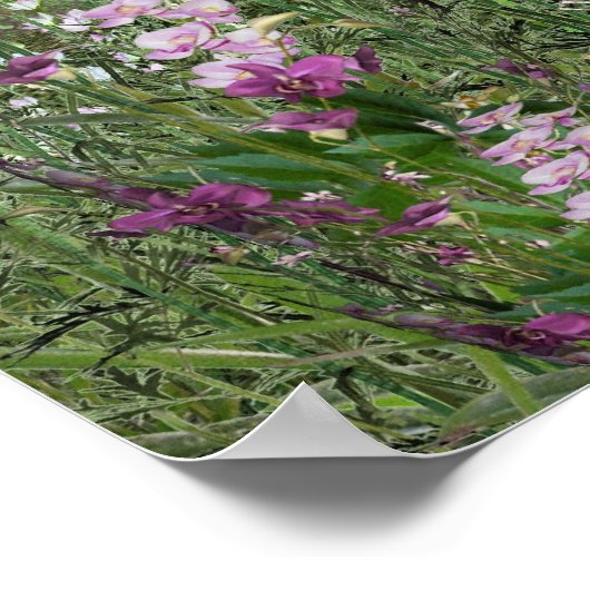 Poster waterval (Hoek)