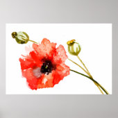 Poster waterverf rode papaver (Voorkant)