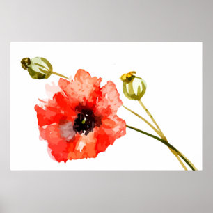 Poster waterverf rode papaver