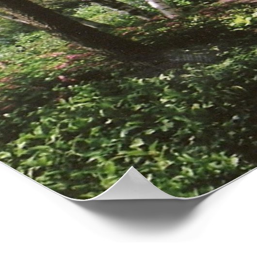 poster "Wees niet bang" (Hoek)