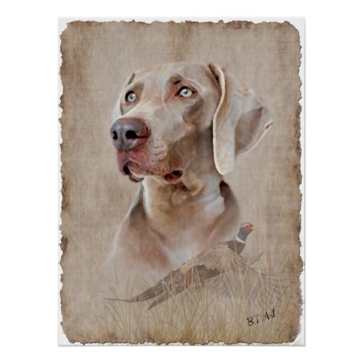 Poster Weimaraner (Voorkant)
