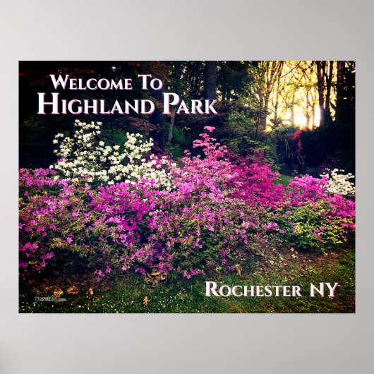 Poster - Welkom bij Highland Park Rochester NY (Voorkant)
