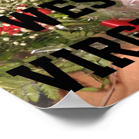 Poster West Virginia 2011 (Hoek)