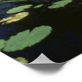 Poster/Wetlands, Okefenokee NWR Poster (Hoek)