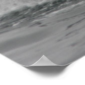 Poster, Whale Fluke, Monterey Poster (Hoek)