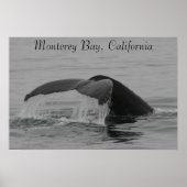 Poster, Whale Fluke, Monterey Poster (Voorkant)