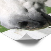 Poster White Horse Print (Hoek)