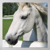 Poster White Horse Print (Voorkant)