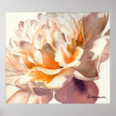 Poster White Peony Waterverf (Voorkant)