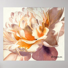 Poster White Peony Waterverf