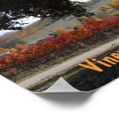 Poster: wijngaarden en eikenbomen in najaarkleuren poster (Hoek)