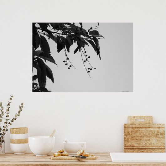 Poster Wild Cherries (Keuken)