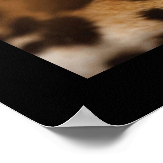 Poster-wilde kat poster (Hoek)