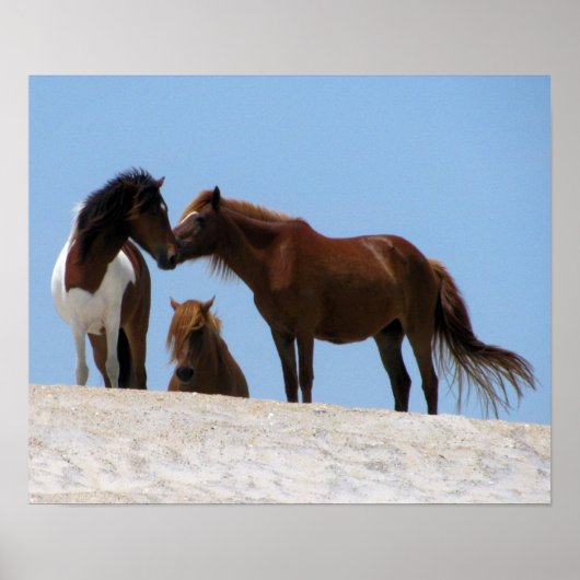 Poster wilde paarden (Voorkant)