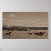 Poster wilde paarden (Voorkant)