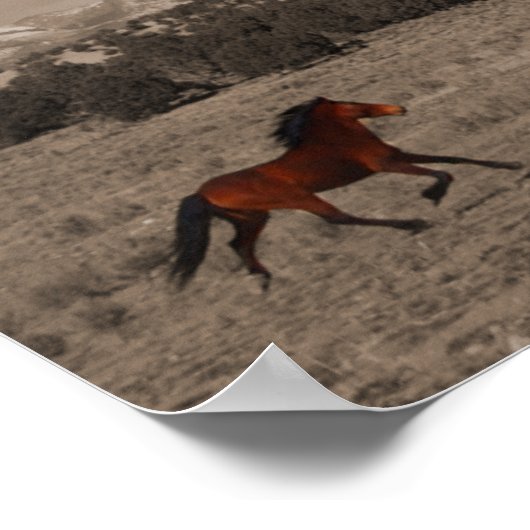 Poster wilde paarden (Hoek)