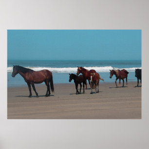 Poster wilde paarden