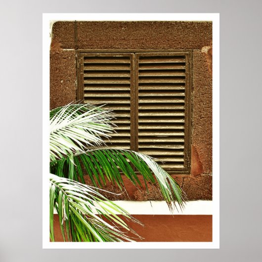 Poster Windows (Portugal) (Voorkant)