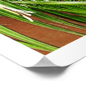 Poster Windows (Portugal) (Hoek)