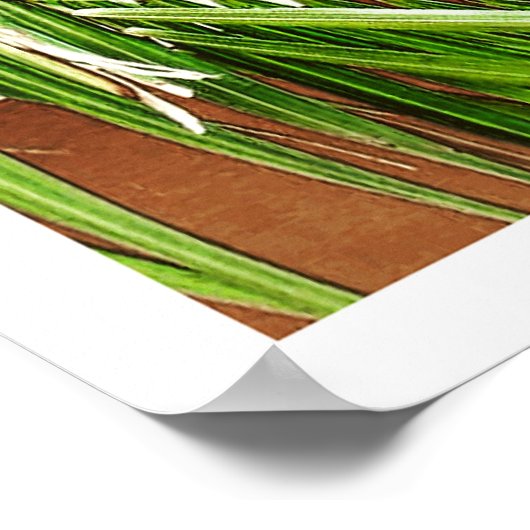 Poster Windows (Portugal) (Hoek)