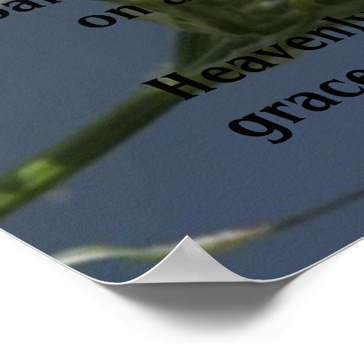 poster "Wings"-vlinderpoëzie (Hoek)