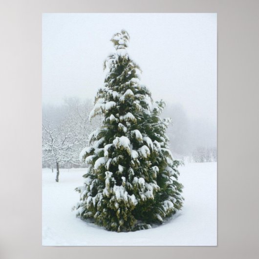 Poster Winter Scene (Voorkant)