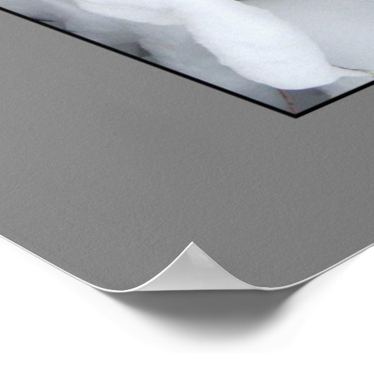 Poster winterarchitectuur van griekenland (Hoek)