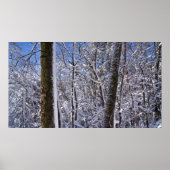 Poster Wintermuur Ice en Sneeuwbomen (Voorkant)