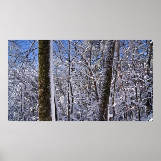 Poster Wintermuur Ice en Sneeuwbomen (Voorkant)