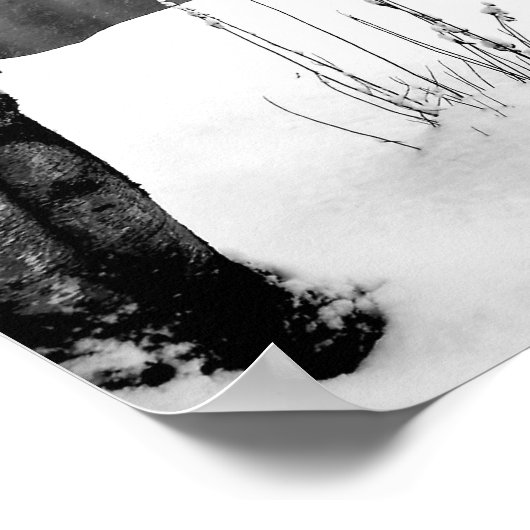 poster winterruimte (Hoek)