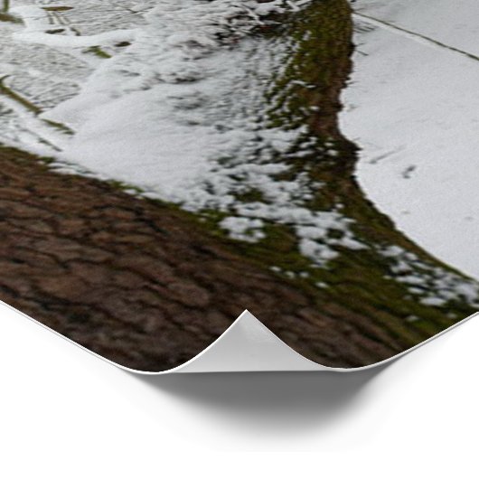 Poster Wintersneeuwscène afdrukken (Hoek)